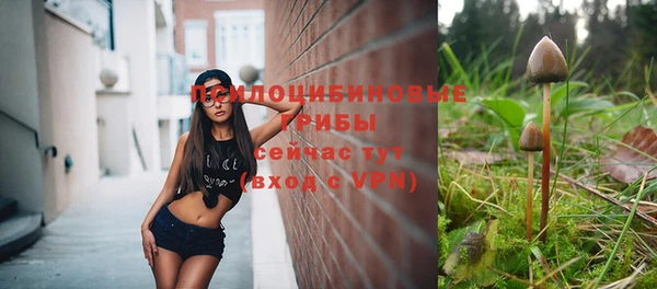 прущий лед Костерёво